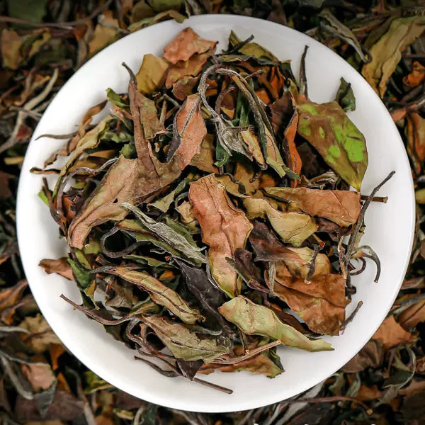 Gongmei White Tea