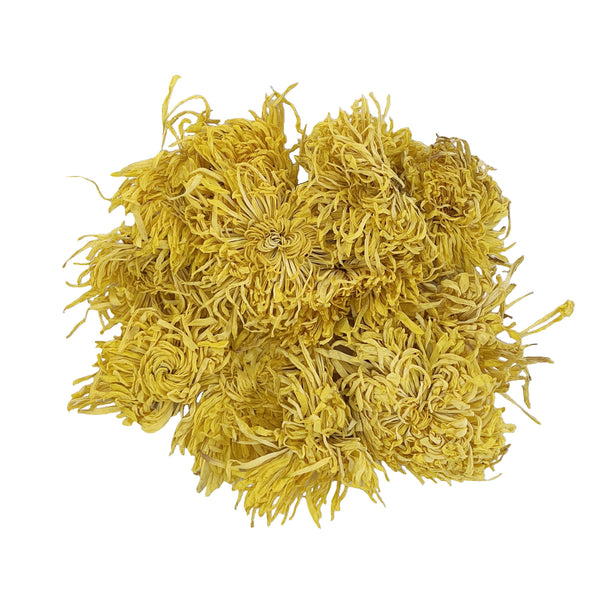 Golden Royal Chrysanthemum