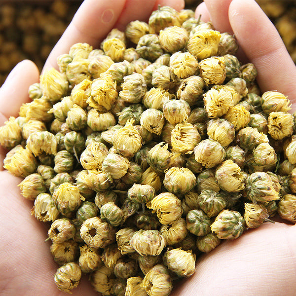 Chrysanthemum Buds Tea